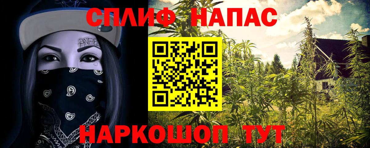 Бошки марихуана ГИДРОПОН Ковров